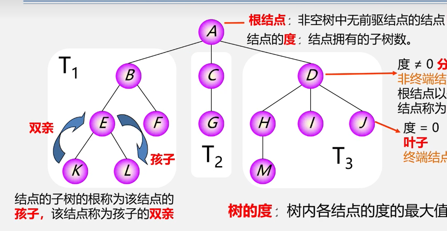 image-20240215141325521