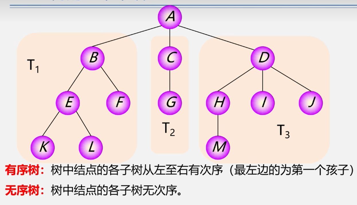 image-20240215142127761