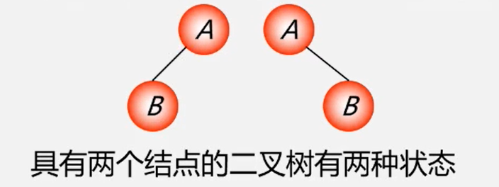 image-20240215144243805